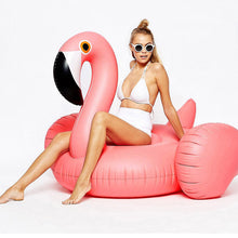 Load image into Gallery viewer, Pink Flamingo Pool Float